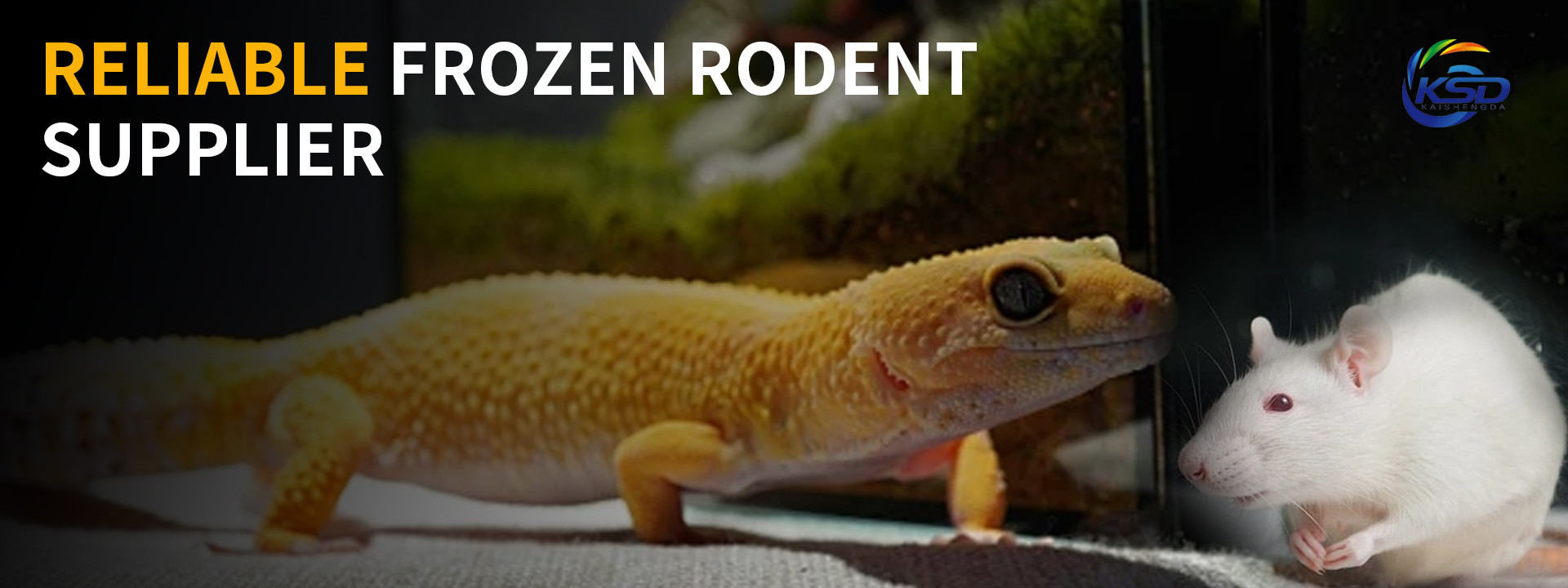 Kwaliteit Bevroren muizen fabriek